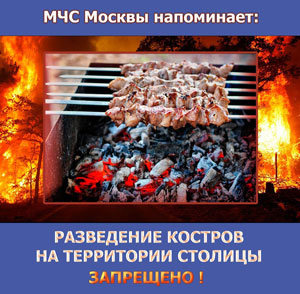 МЧС Москвы напоминает: разведение костров на территории столицы запрещено!